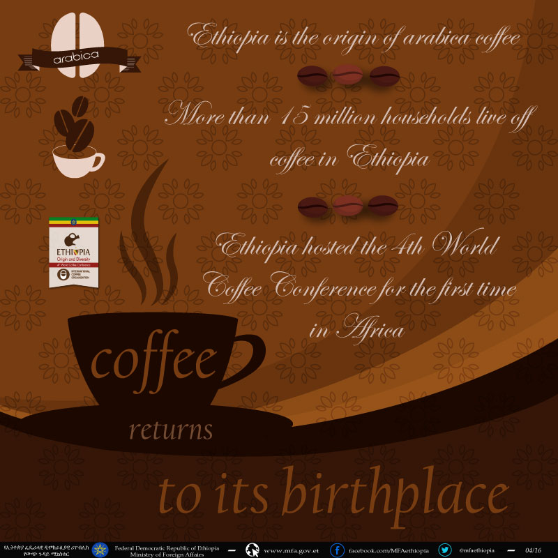 Coffee Returns to Its&nbsp;Birthplace