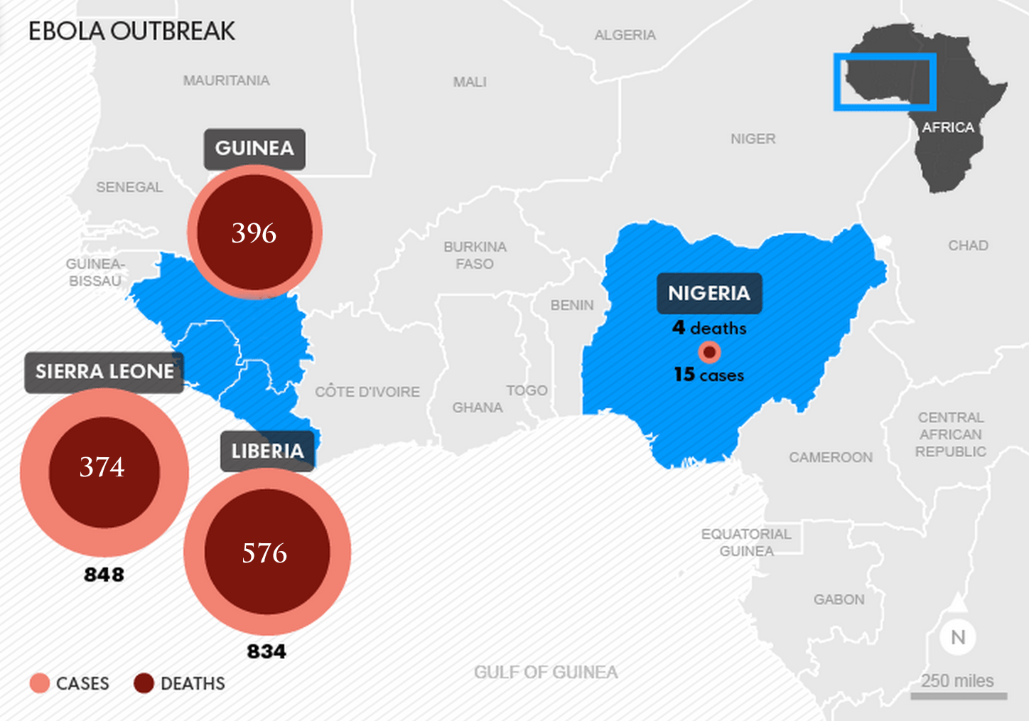 A Courtesy of Gorilla Doctors