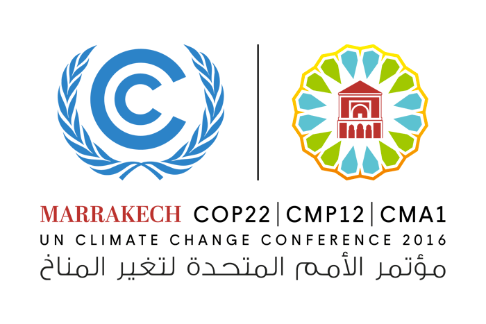 The 22nd session of the Conference of the Parties: COP 22 – the COP of&nbsp;Action