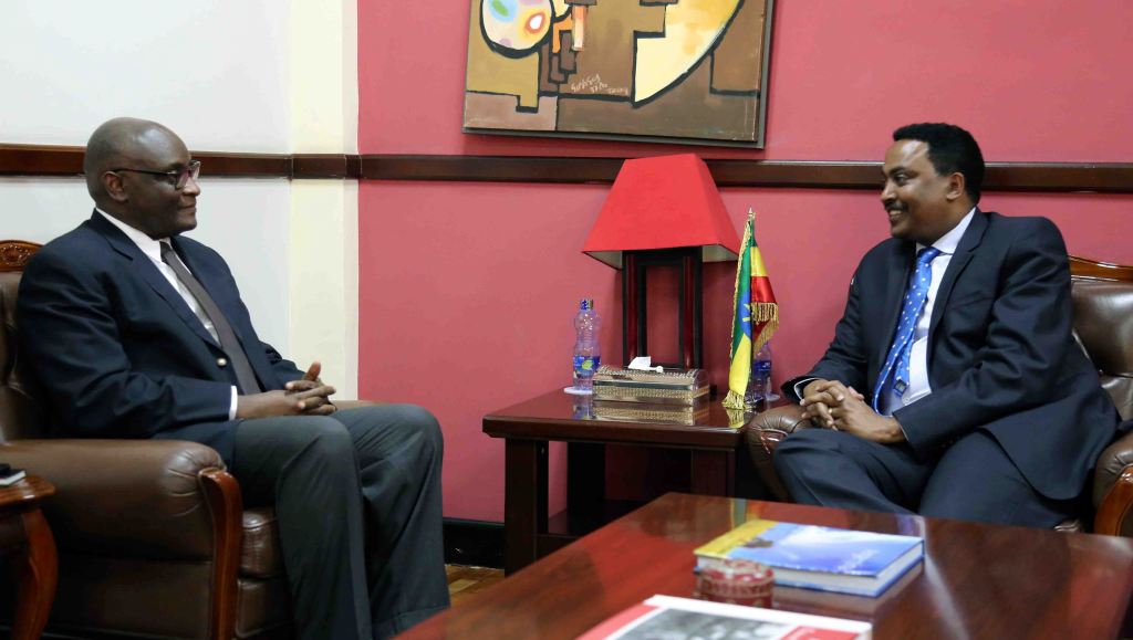 Ethiopia values its ties with Ghana, Foreign Minister&nbsp;Workneh