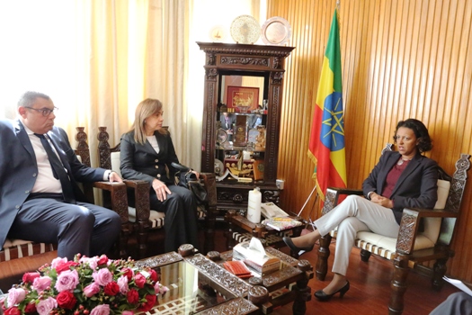 Ethiopia, Egypt keen to forge partnership in institutional capacity&nbsp;building