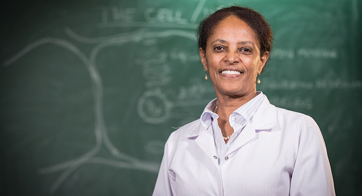 Professor Yalemtsehay Mekonnen: A Woman of Exceptional Academic&nbsp;Excellence
